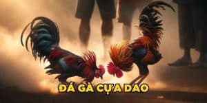Ưu điểm khi tham gia đá gà cựa dao aev99